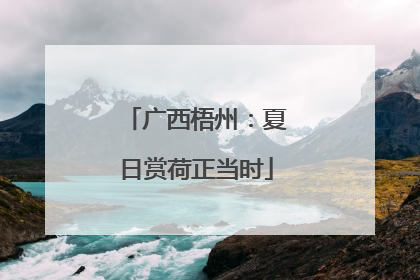 广西梧州：夏日赏荷正当时