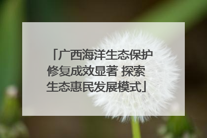广西海洋生态保护修复成效显著 探索生态惠民发展模式