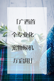 广西首个专业化宠物候机厅启用