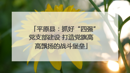 平原县：抓好“四强”党支部建设 打造党旗高高飘扬的战斗堡垒