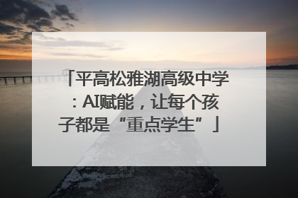 平高松雅湖高级中学：AI赋能，让每个孩子都是“重点学生”