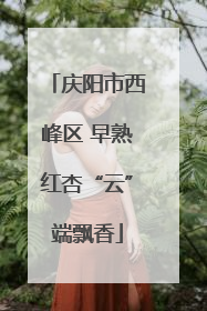 庆阳市西峰区 早熟红杏“云”端飘香