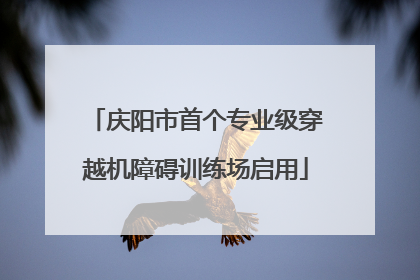 庆阳市首个专业级穿越机障碍训练场启用