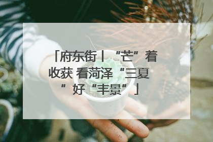 府东街丨“芒”着收获 看菏泽“三夏”好“丰景”