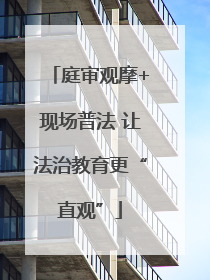 庭审观摩+现场普法 让法治教育更“直观”