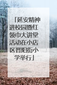 延安精神进校园暨红领巾大讲堂活动在小店区晋阳街小学举行