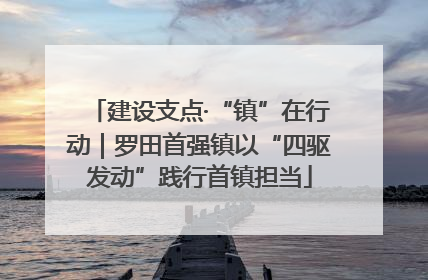 建设支点·“镇”在行动｜罗田首强镇以“四驱发动”践行首镇担当