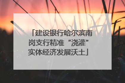 建设银行哈尔滨南岗支行精准“浇灌”实体经济发展沃土