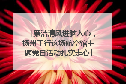 廉洁清风进脑入心，扬州工行这场航空馆主题党日活动扎实走心