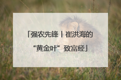 强农先锋丨崔洪海的“黄金叶”致富经