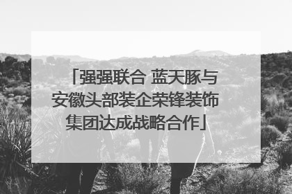 强强联合 蓝天豚与安徽头部装企荣锋装饰集团达成战略合作