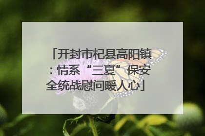 开封市杞县高阳镇：情系“三夏”保安全统战慰问暖人心