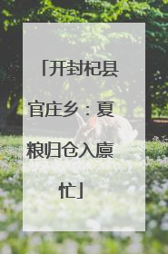 开封杞县官庄乡：夏粮归仓入廪忙