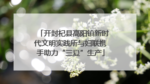 开封杞县高阳镇新时代文明实践所与妇联携手助力“三夏”生产