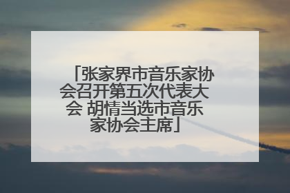张家界市音乐家协会召开第五次代表大会 胡情当选市音乐家协会主席
