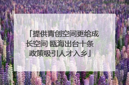 提供青创空间更给成长空间 瓯海出台十条政策吸引人才入乡