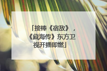 接棒《宿敌》，《藏海传》东方卫视开播即燃