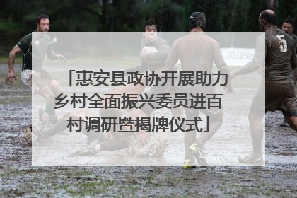 惠安县政协开展助力乡村全面振兴委员进百村调研暨揭牌仪式