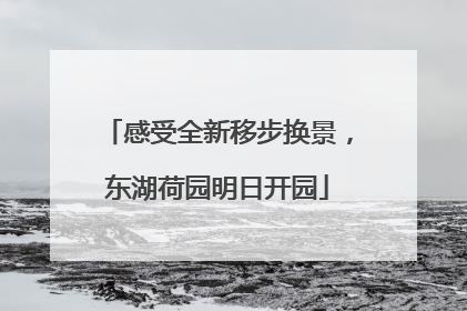 感受全新移步换景，东湖荷园明日开园