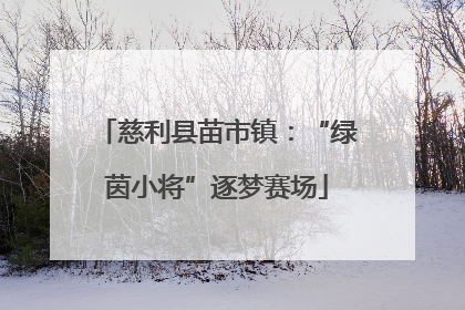 慈利县苗市镇：“绿茵小将”逐梦赛场