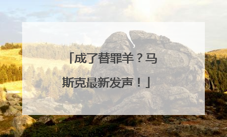 成了替罪羊？马斯克最新发声！