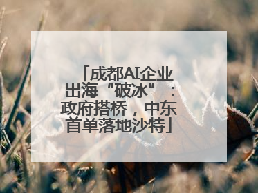 成都AI企业出海“破冰”：政府搭桥，中东首单落地沙特