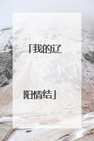 我的辽阳情结