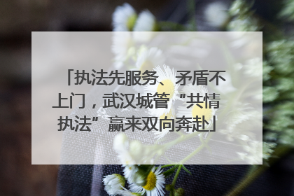 执法先服务、矛盾不上门，武汉城管“共情执法”赢来双向奔赴