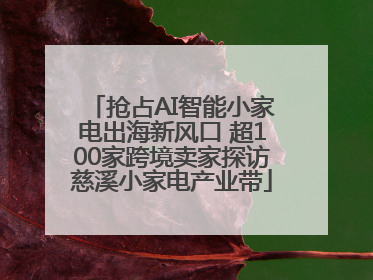 抢占AI智能小家电出海新风口 超100家跨境卖家探访慈溪小家电产业带