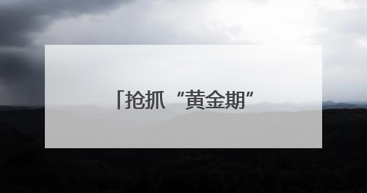 抢抓“黄金期” 德阳智慧之心项目建设加速推进