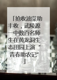 抢收油菜助丰收，武陵源一中数百名师生在黄龙洞生态田园上演“青春助农记”