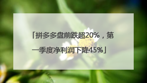 拼多多盘前跌超20%，第一季度净利润下降45%