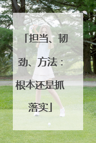 担当、韧劲、方法：根本还是抓落实