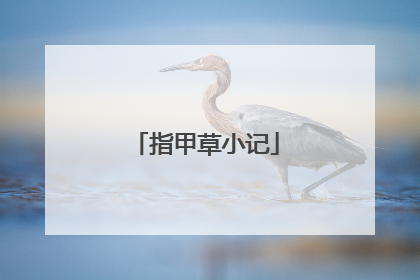 指甲草小记