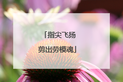 指尖飞扬 剪出劳模魂