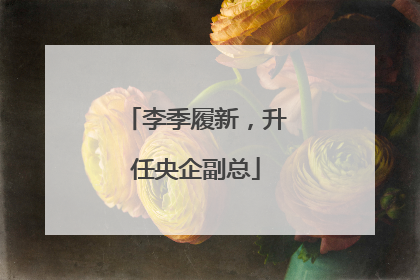 李季履新，升任央企副总