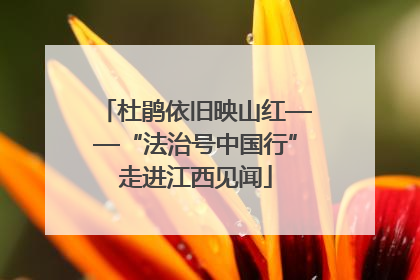 杜鹃依旧映山红——“法治号中国行”走进江西见闻