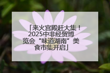 来火宫殿赶大集！2025中非经贸博览会“味道湖南”美食市集开启