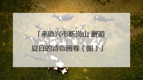 来德兴市新岗山 邂逅夏日的诗意画卷（图）