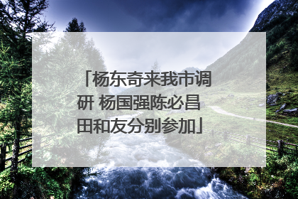 杨东奇来我市调研 杨国强陈必昌田和友分别参加