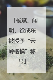 杨斌、闻明、徐成东被授予“云岭楷模”称号