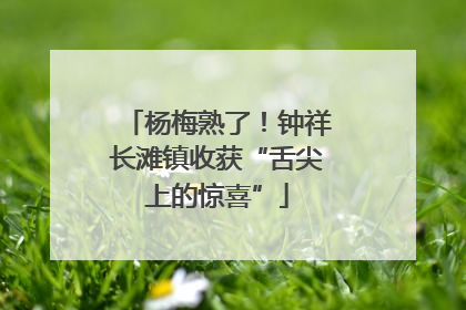 杨梅熟了！钟祥长滩镇收获“舌尖上的惊喜”