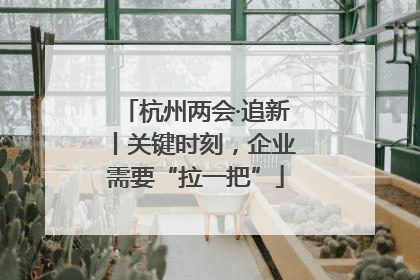 杭州两会·追新丨关键时刻，企业需要“拉一把”