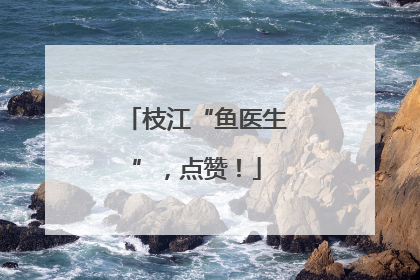 枝江“鱼医生”，点赞！