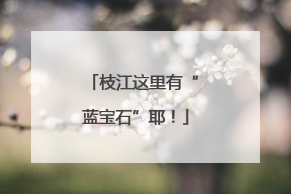 枝江这里有“蓝宝石”耶！
