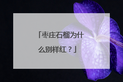 枣庄石榴为什么别样红？