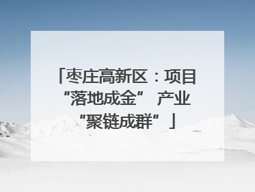 枣庄高新区：项目“落地成金” 产业“聚链成群”