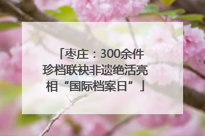 枣庄：300余件珍档联袂非遗绝活亮相“国际档案日”