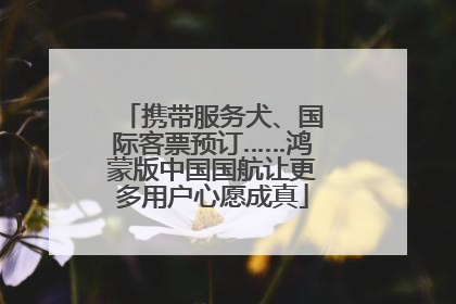 携带服务犬、国际客票预订……鸿蒙版中国国航让更多用户心愿成真
