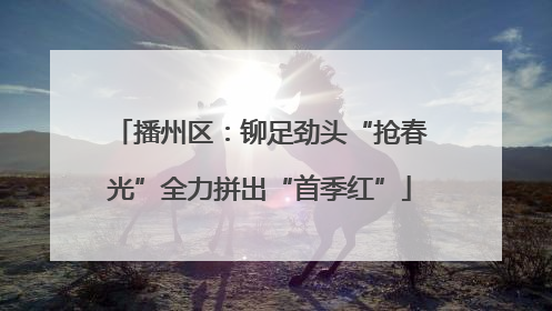 播州区：铆足劲头“抢春光”全力拼出“首季红”